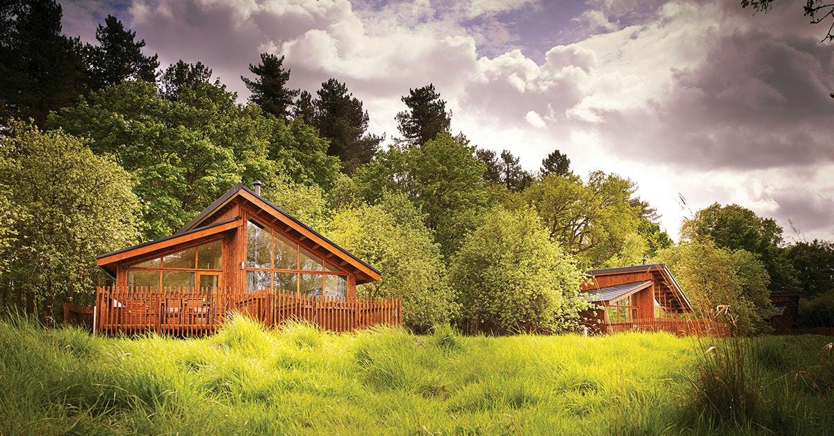 Step into spring and win a beautiful short break from Forest Holidays worth up to £1,000!