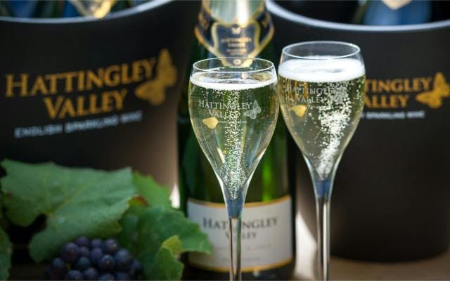 Hattingley Valley english sparkling wine fizz