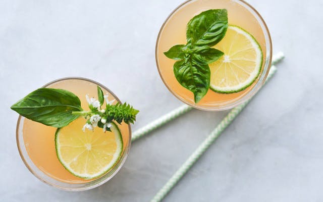 Grapefruit gin punch cocktail drink with mint lime wheel garnish