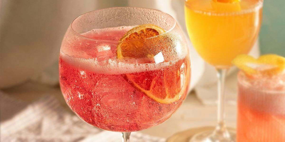 You need to try this Damson & Sloe Berry Gin & Tonic recipe! 