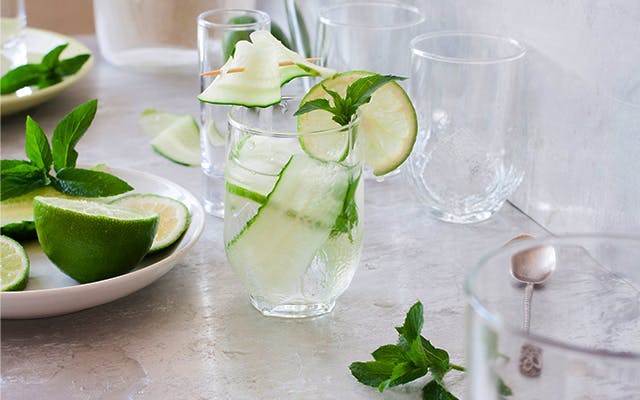 cucumber-mint-cocktail.jpg