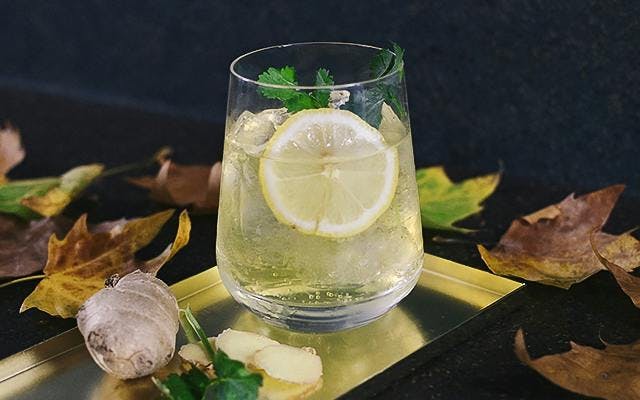 Gin lemon orange ginger coriander gin highball cocktail