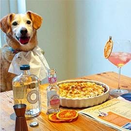 It’s not all about DRINKING gin, @theginjudge took on this month’s boozy bake to create a delicious gin-fused Choc-Orange S’more Pie! Paws off, pup! ;)