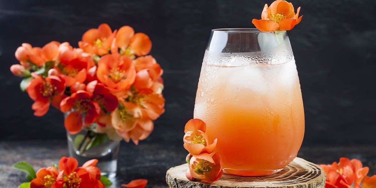 How to make an Orange Blossom cocktail…