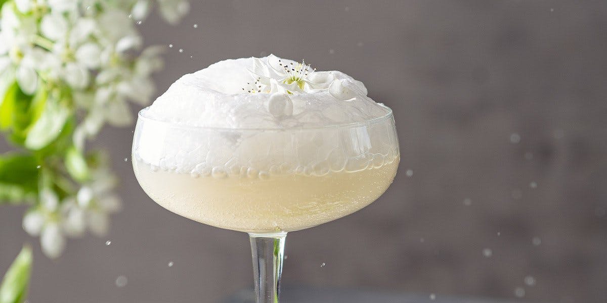 Add a scoop of lemon sorbet to this stunning gin, limoncello and prosecco cocktail - it is SO refreshing! 