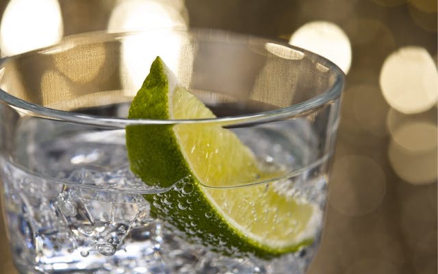 Low-calorie Gin and tonic with a wedge of lime