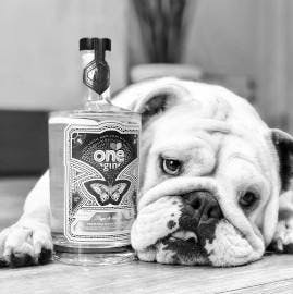 craft+gin+dog+4.jpg