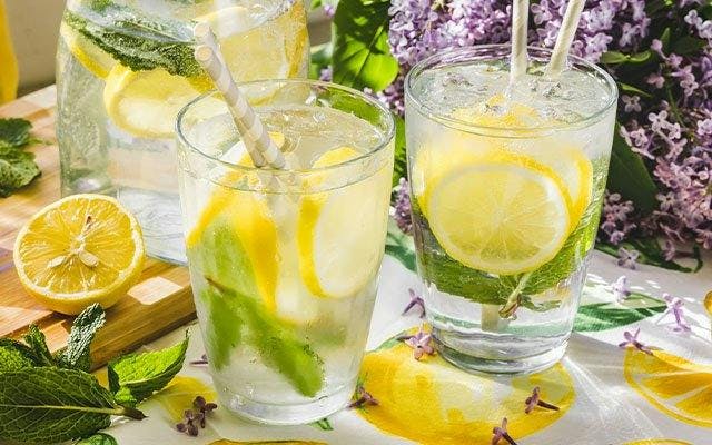Gin and lemonade or tonic