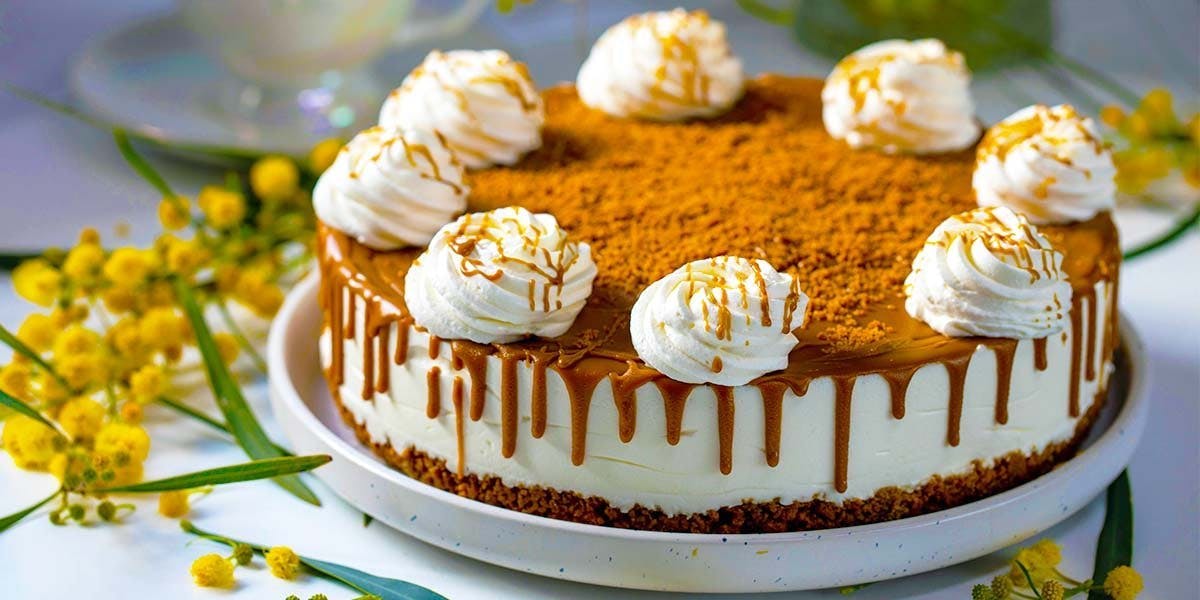 Biscoff cheesecake recipe: this easy bake has a boozy twist! 