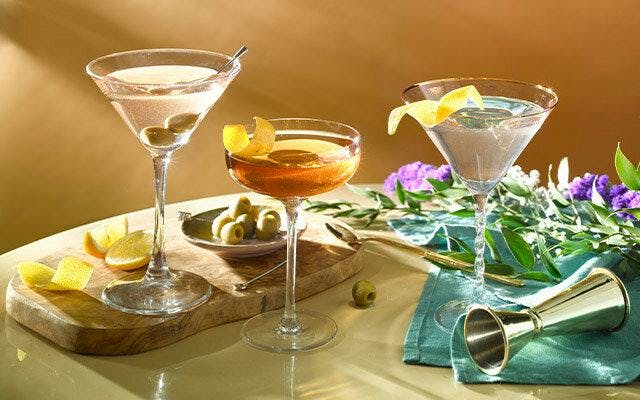 Gin and vermouth cocktail recipes.jpg