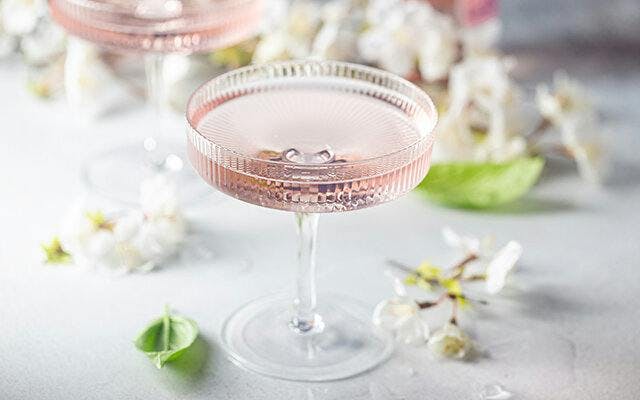 Southern Sky gin cocktail