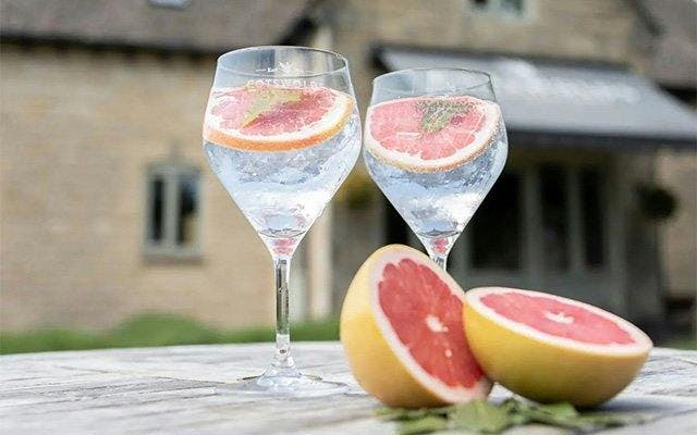 Cotswolds Dry Gin and tonic suggestion