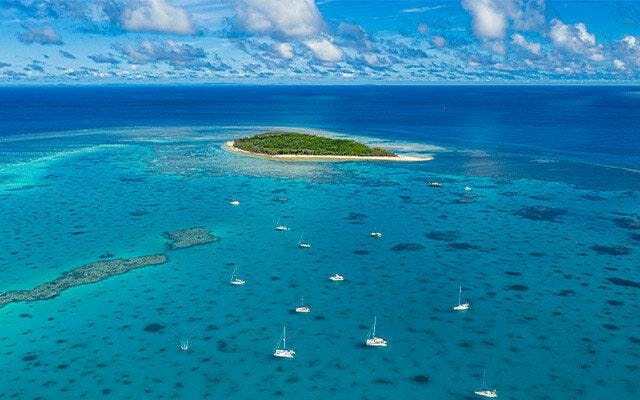 Lady Musgrave Island, Southern Great Barrier Reef region, Queensland, Australia.