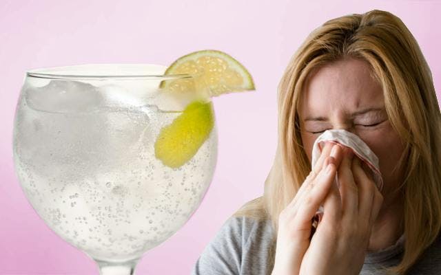 Gin and tonic garnished with lemon helps hayfever sufferers