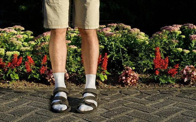 Father's Day socks and sandals.jpg