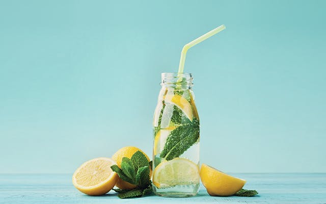 Lemon+Mojito+with+Gin.png