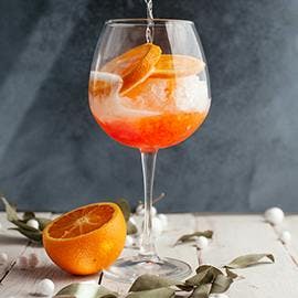 orange-gin-tonic-sq.jpg