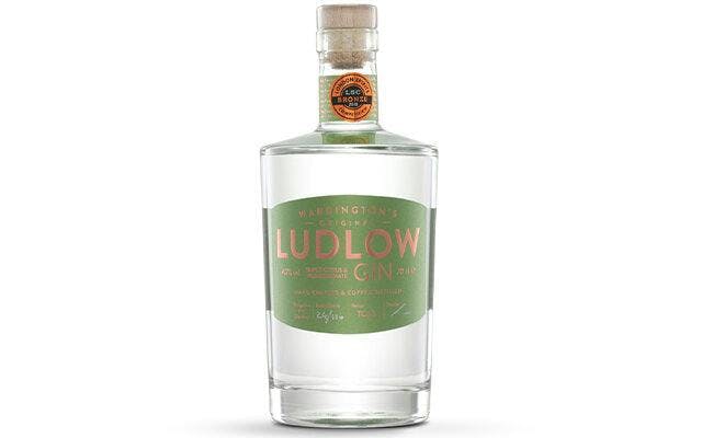 Ludlow Triple Citrus and Pomegranate Gin
