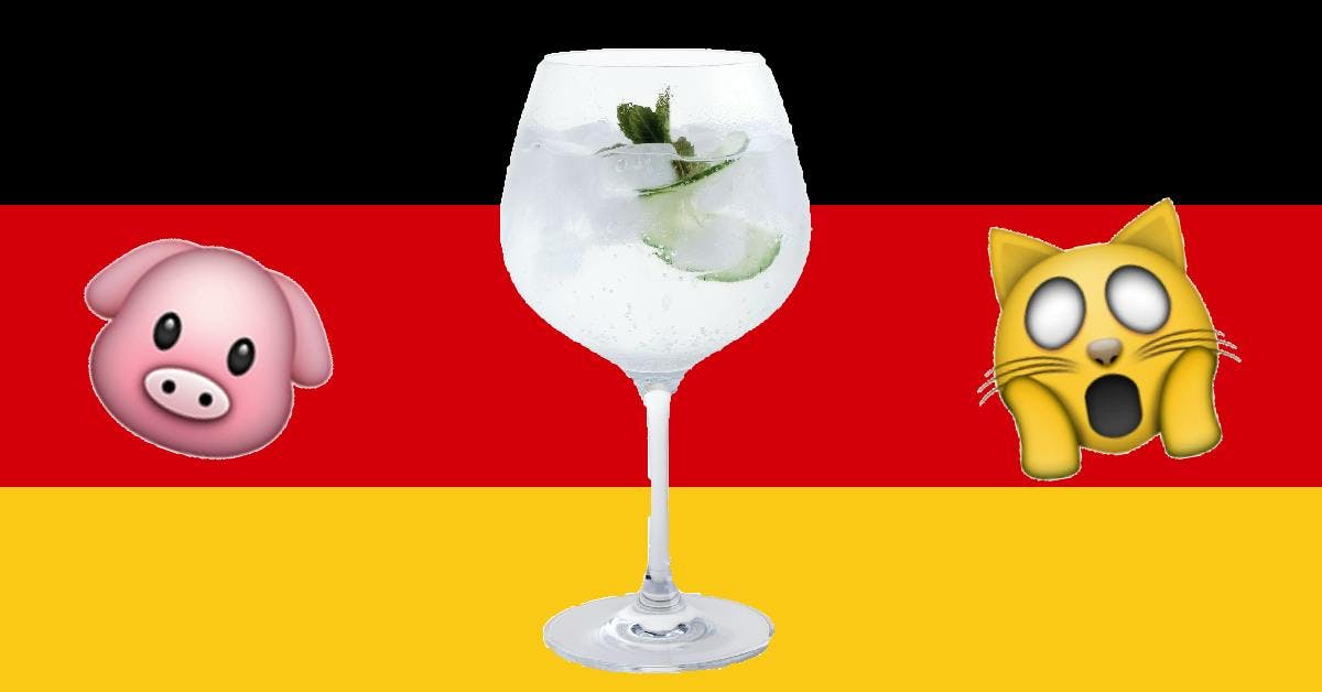 Germany katzenjammer nur ein schwein trinkt allein funny saying drinking hangover cat pig gin and tonic