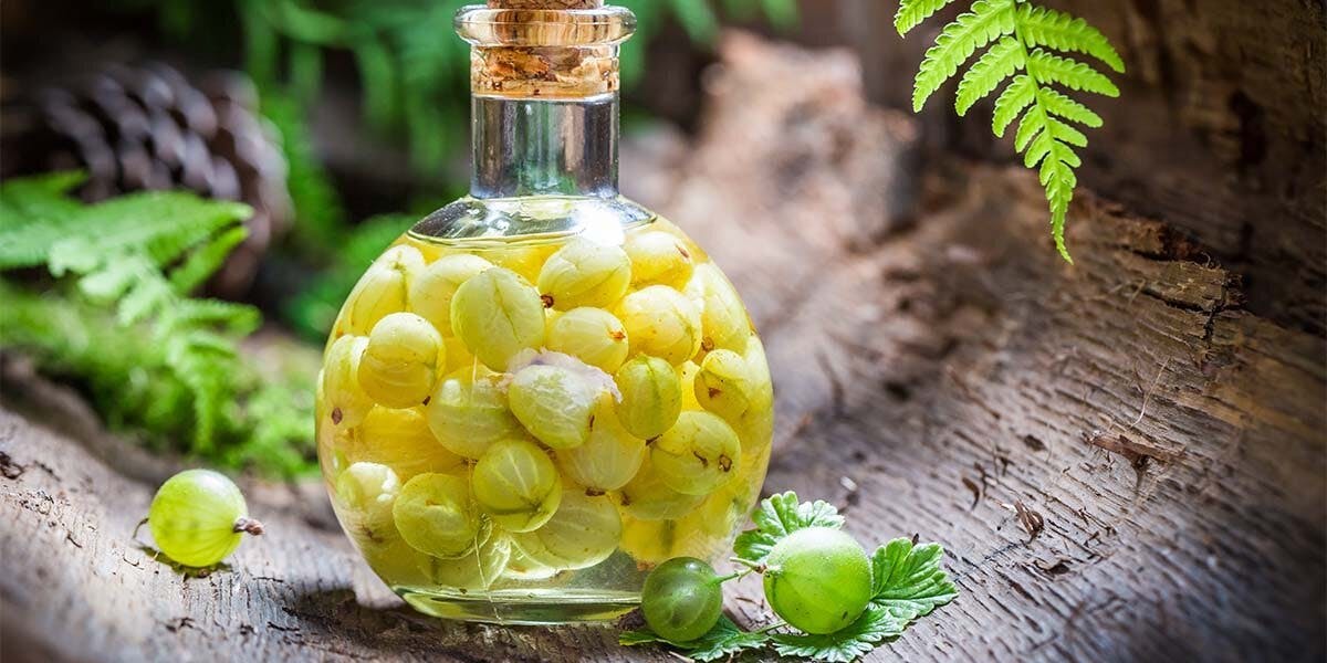 How to make gooseberry gin - and a summer cocktail recipe to drink it!
