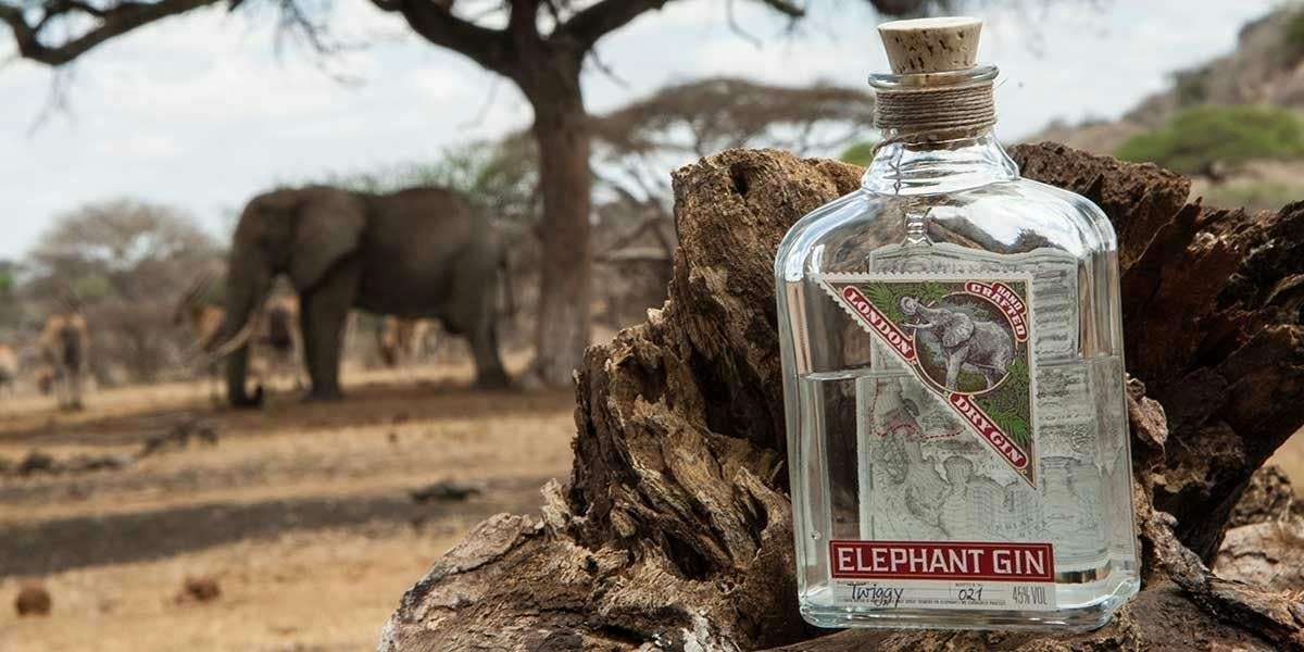 Discover Elephant Gin and their amazing range of craft gins! 