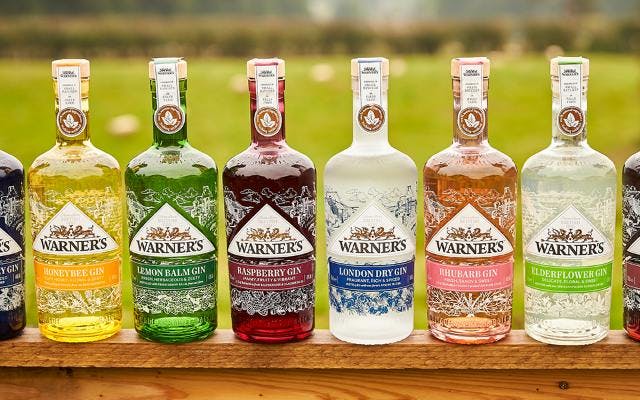 A row of coloured Warner's Gin bottles on display