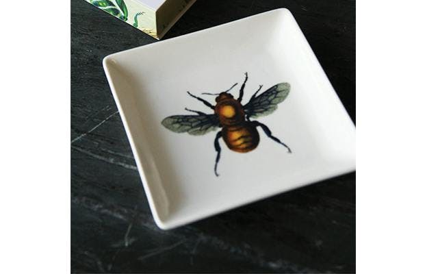 Bee_Drinks_Tray.png