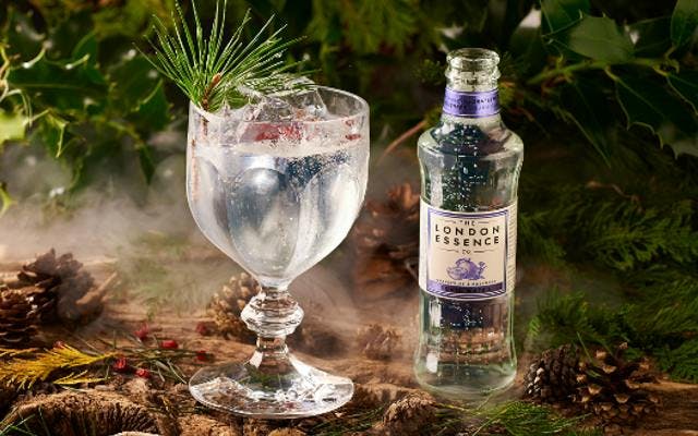London essence grapefruit and rosemary tonic water with G&t in a forest setting