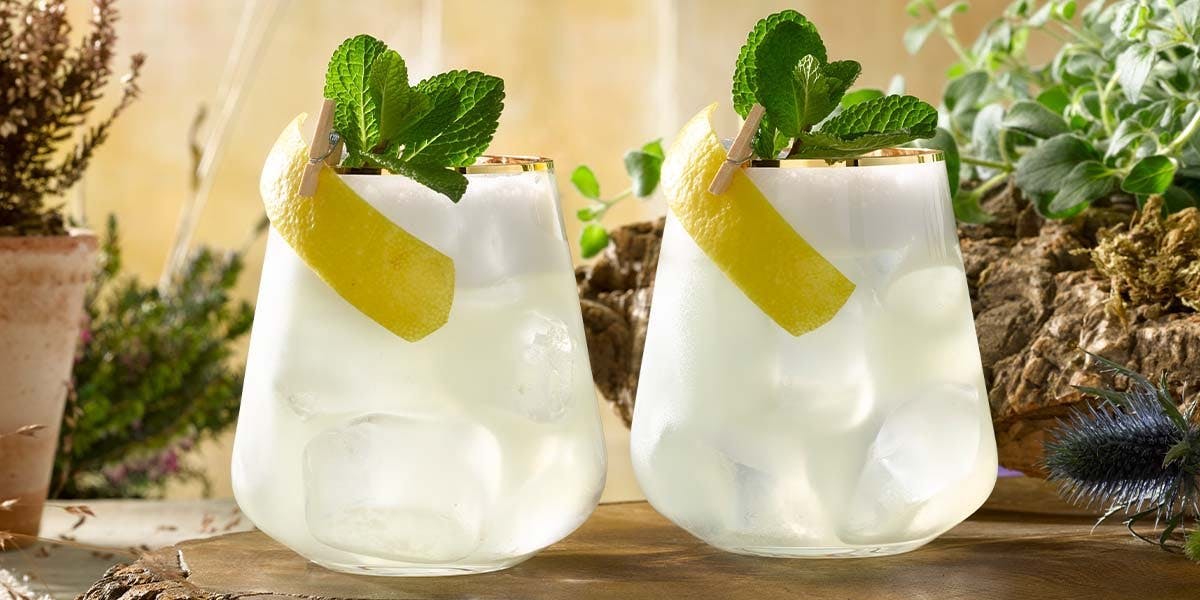 7 of the best gin and mint cocktails