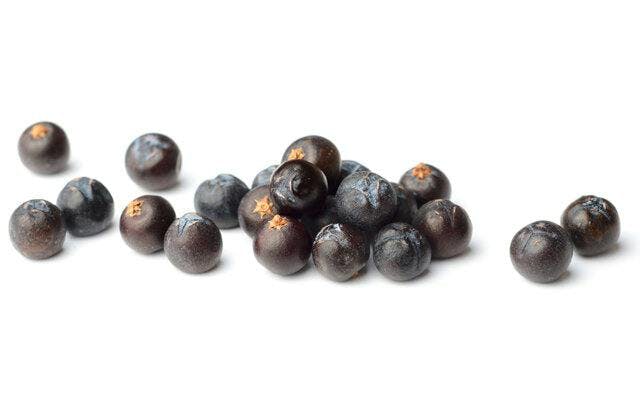 juniper+berries.jpg