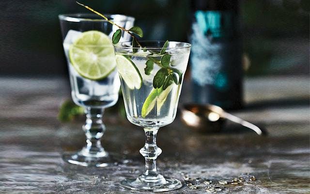 perfect serve vidda torr gin and tonic