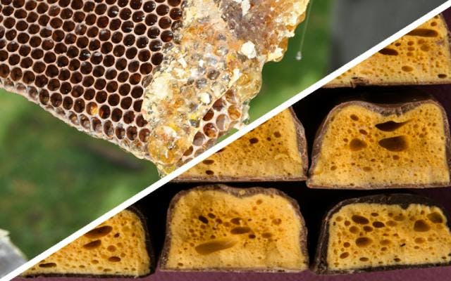 Honeycomb: the bee-friendly treat! 