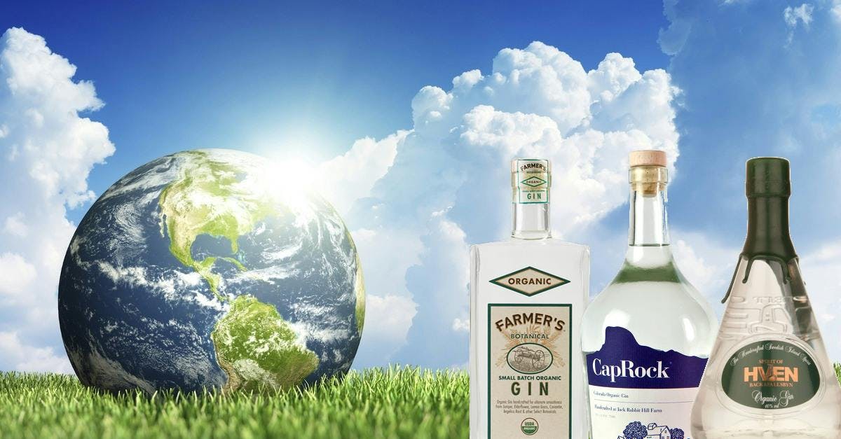 6 Organic Gins you need to drink to get green this Earth Day