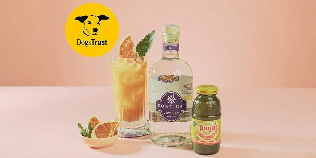 Craft Gin Club and Dogs Trust have brought together four dog-inspired cocktails that puppy parents are going to love!
