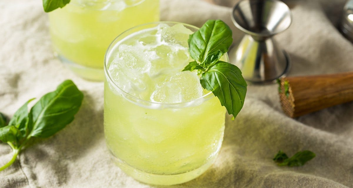 You've Got To Try This Gin Cocktail That Uses A Herb As The Main Ingredient!