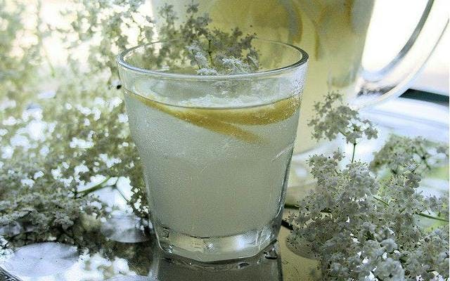 Gin and tonic with Elderflower and lemon