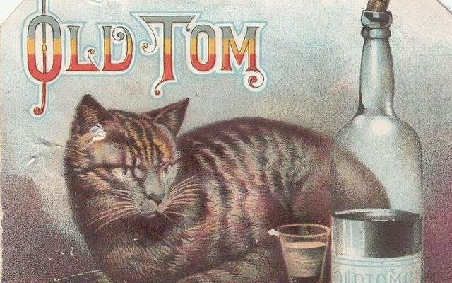 old tom gin