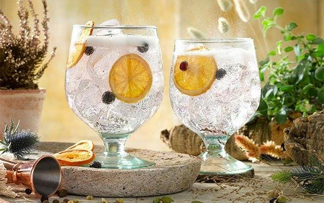 The perfect Shivering Mountain Gin Early Harvest Edition and tonic serving suggestion