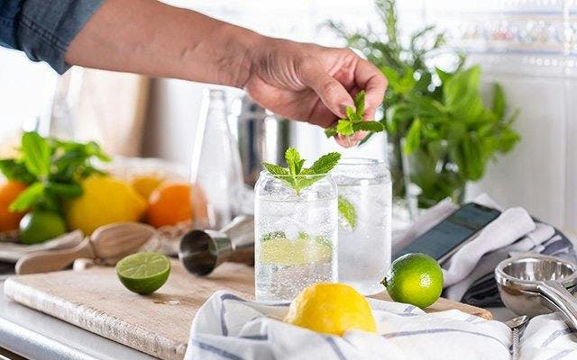 Recipe for the perfect gin and tonic