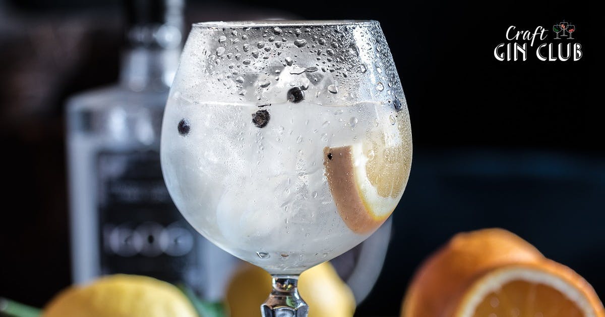 Gin tonic with juniper berries and orange copa glass