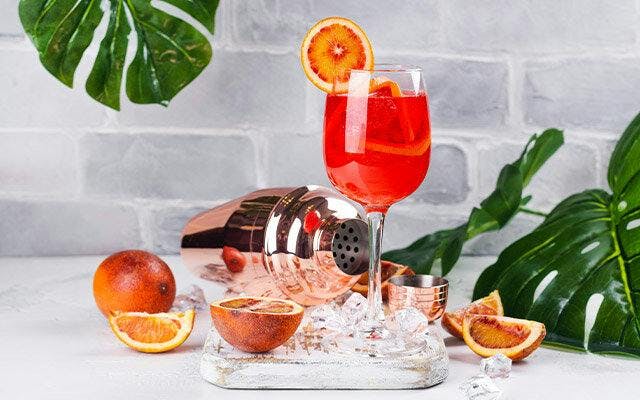 Blood Orange Gin Spritz cocktail recipe.jpg