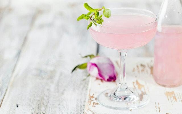 A pink cranberry martini