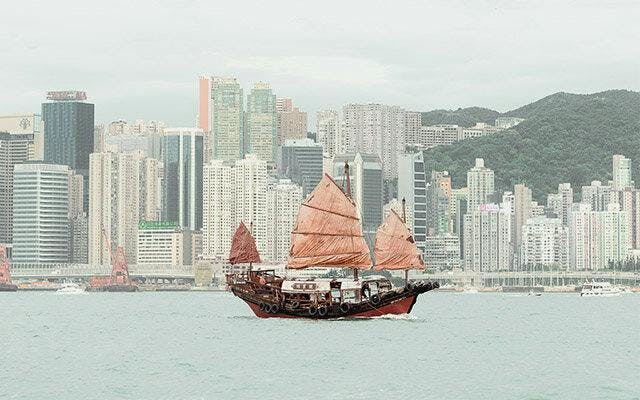 Hong Kong. Image: IG @spoonek9