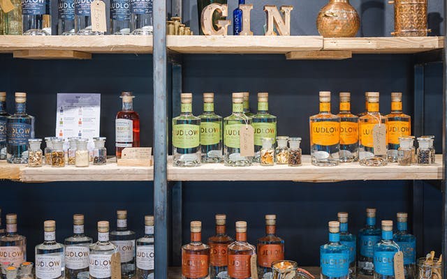A wooden shelf unit displaying a variety of Ludlow Gin bottles and botanicals in jars