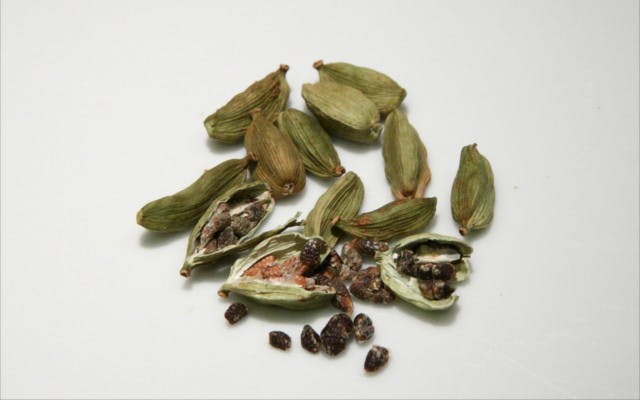 cardamom seeds botanical