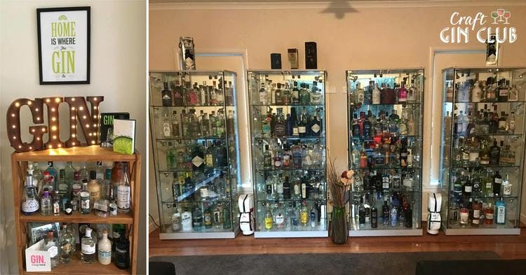 Huge Gin Bottle Collections