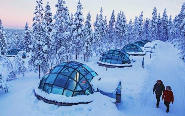 Igloo hotel in finland with lots of snow and conifer trees