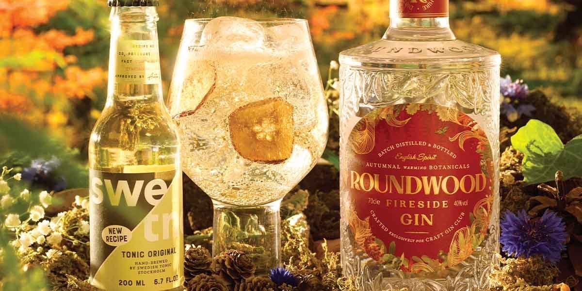 The perfect Roundwood Gin and tonic recipe!