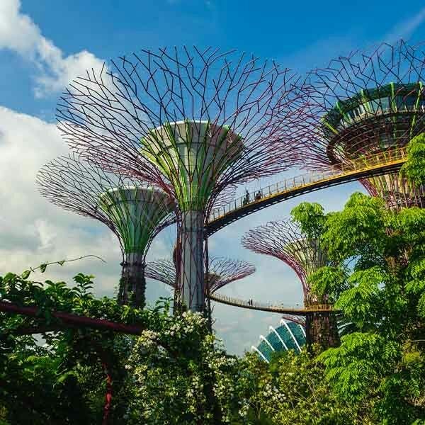 Singapore’s iconic Gardens by the Bay.