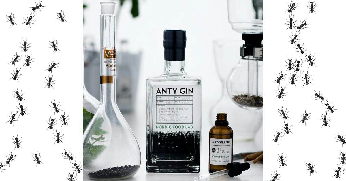  Is this the most brilli'ANT' gin made???